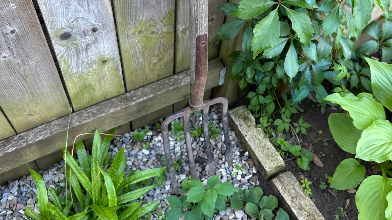 An old hay fork, worn smooth by years of use, resting in the garden among shade plants and stone.