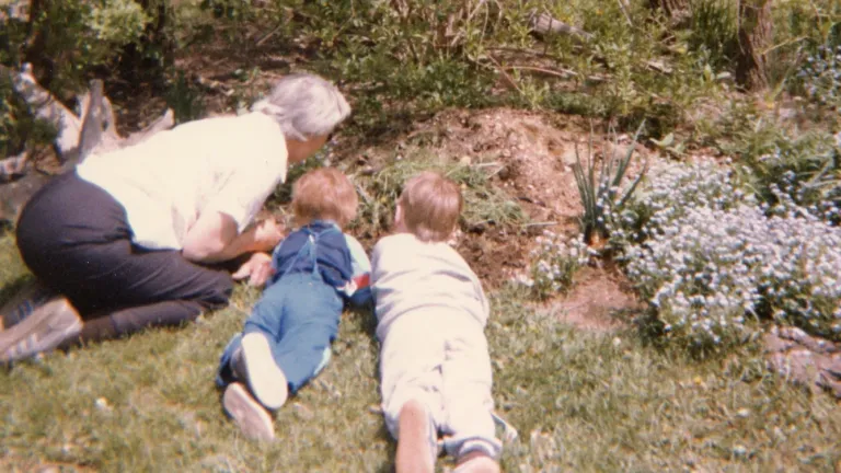 My brother and I with my grandmother lying in the grass beside a sunny wildflower garden at the edge of the yard.