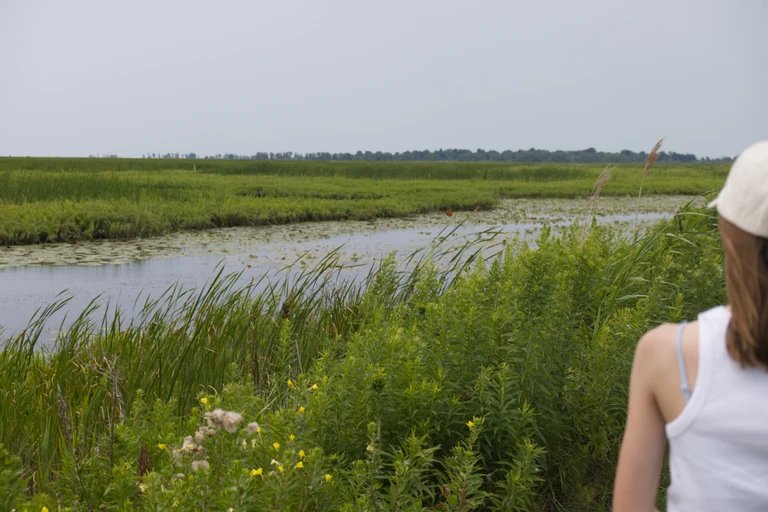 A child in a white cap looks across open water, reeds and tall grasses at Big Creek National Wildlife Area.