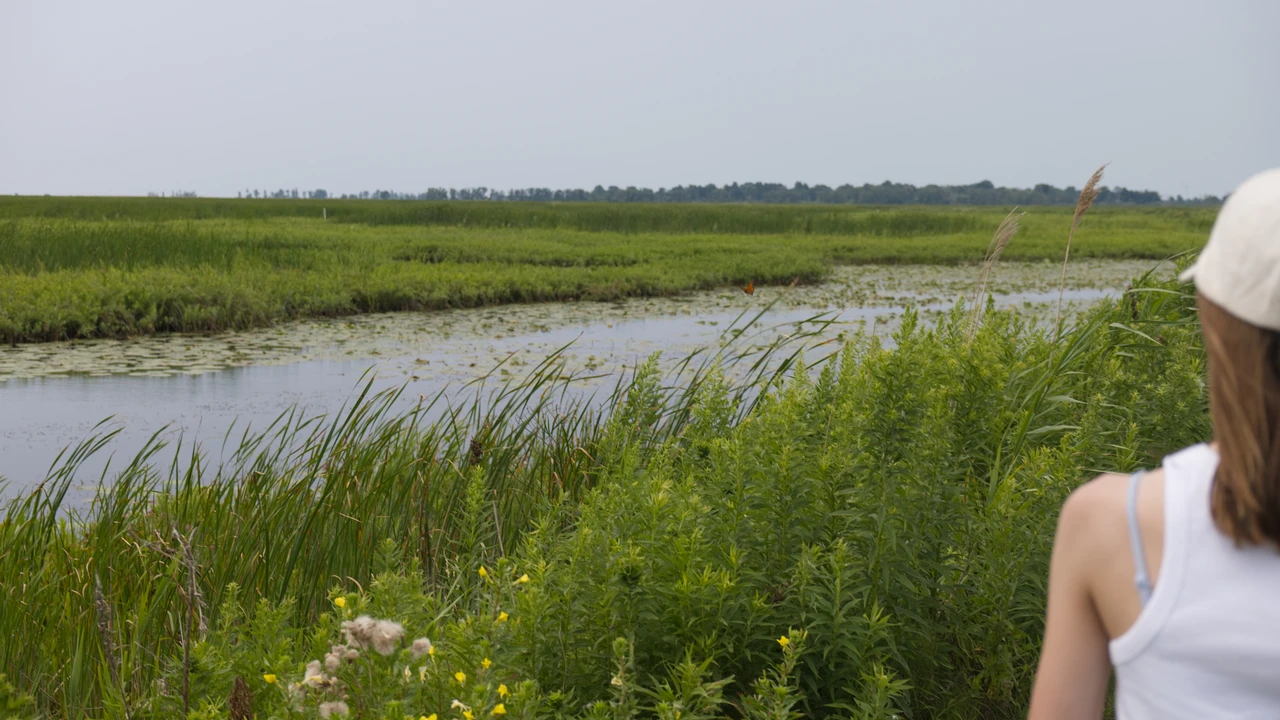 A child in a white cap looks across open water, reeds and tall grasses at Big Creek National Wildlife Area.